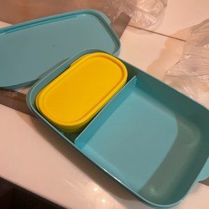 Tupperware Luncheon divided container with small dish